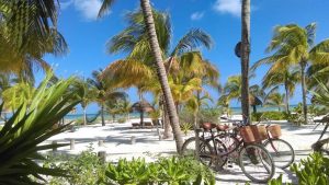 isla holbox mexico blog svrine palmbomen fietsen
